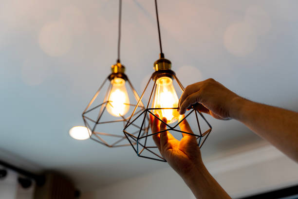 Best Electric Panel Repair  in Red Lodge, MT